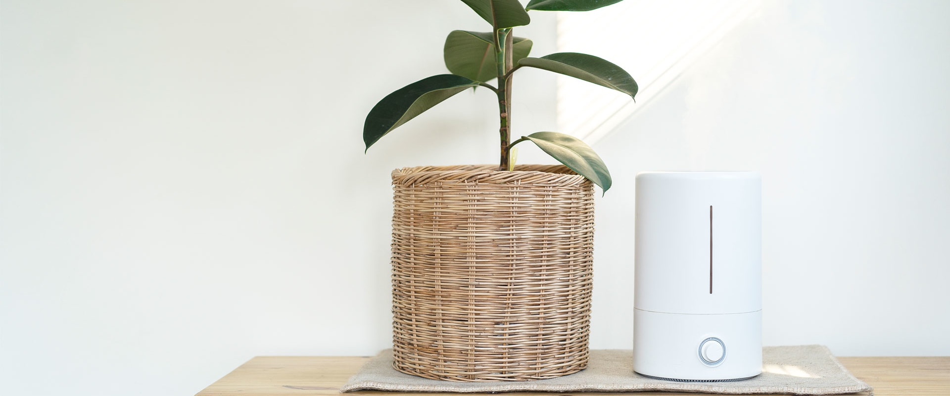 Air Purifiers vs Ionizers: Which is Better for Your Home?